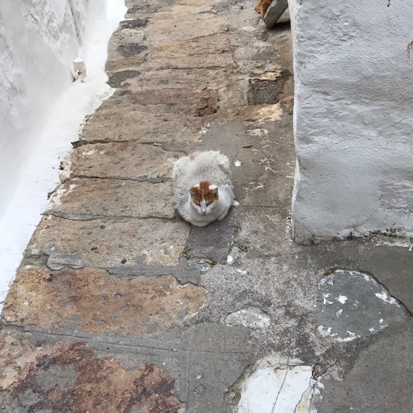 Meet your Posher, Karen - Picture 3 of 3